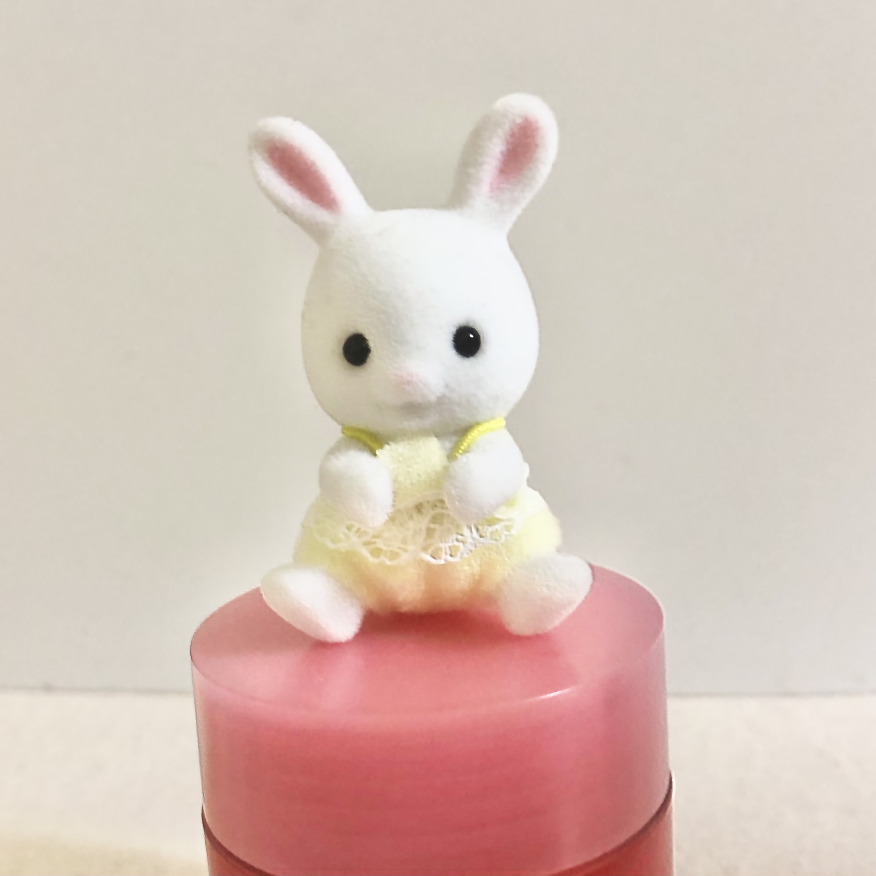 ポポ🌼フォロバ100