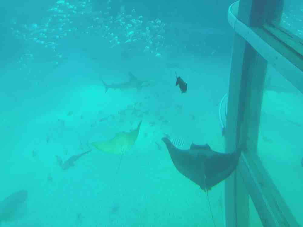 りょうか@フォロバします！