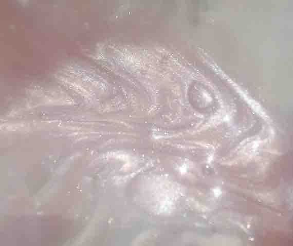 ⋆ ˚｡⋆୨୧ ⸝⸝ ꙳