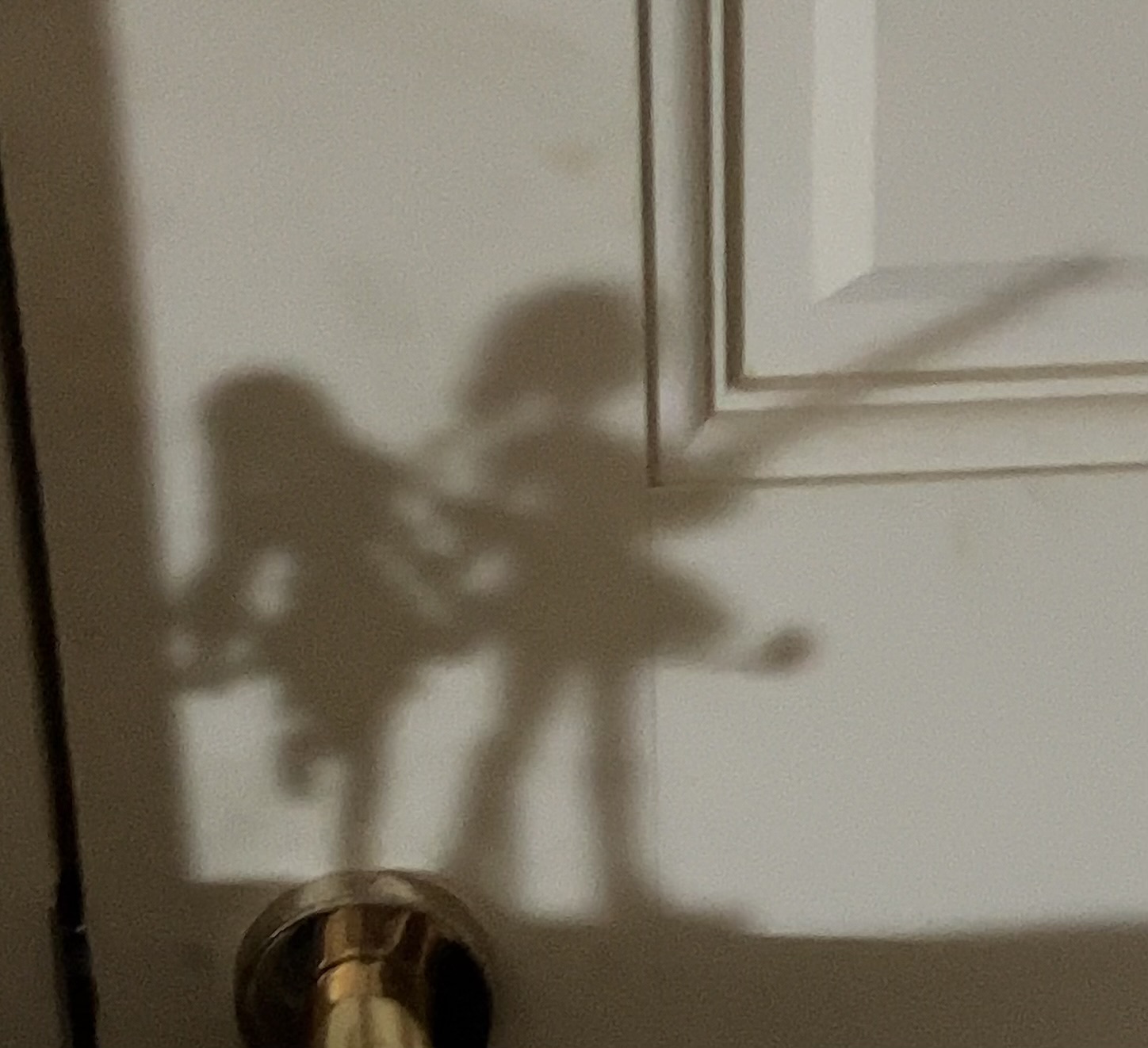 みう🐱フォロバ👭JK