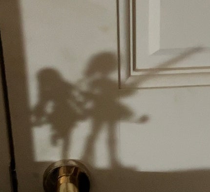 みう🐱フォロバ👭JK