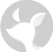 𝓎𝓊𝓀𝒾𝜗𝜚