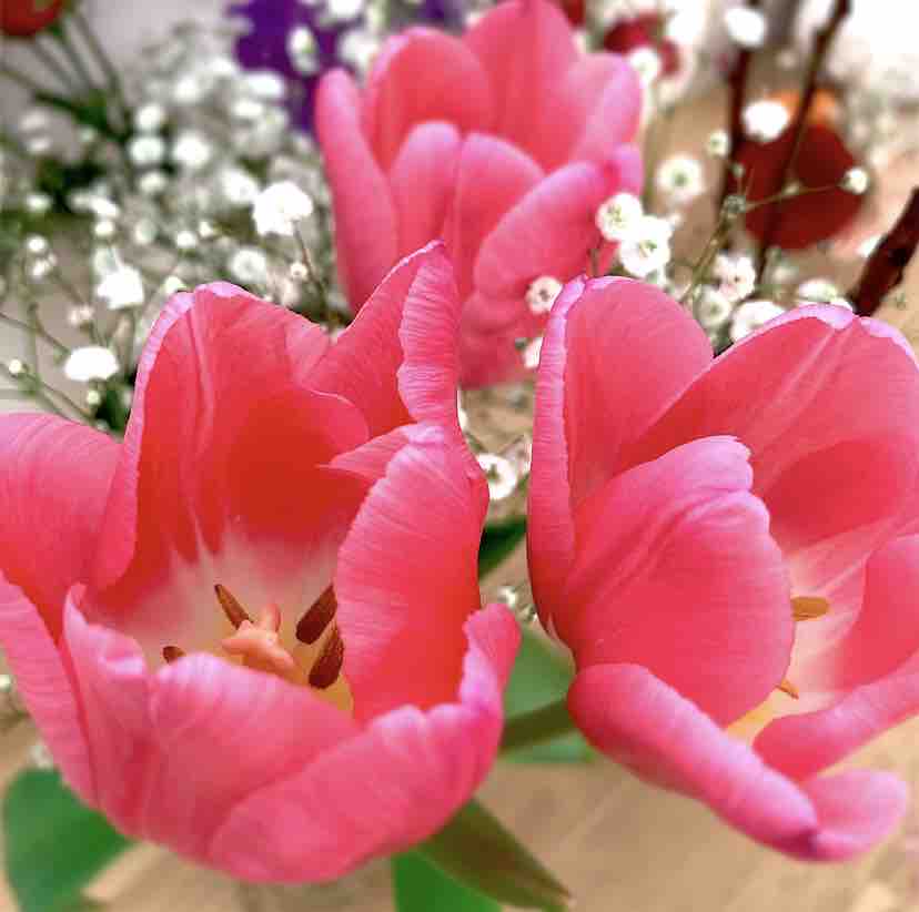 NAN（フォロバ100%）