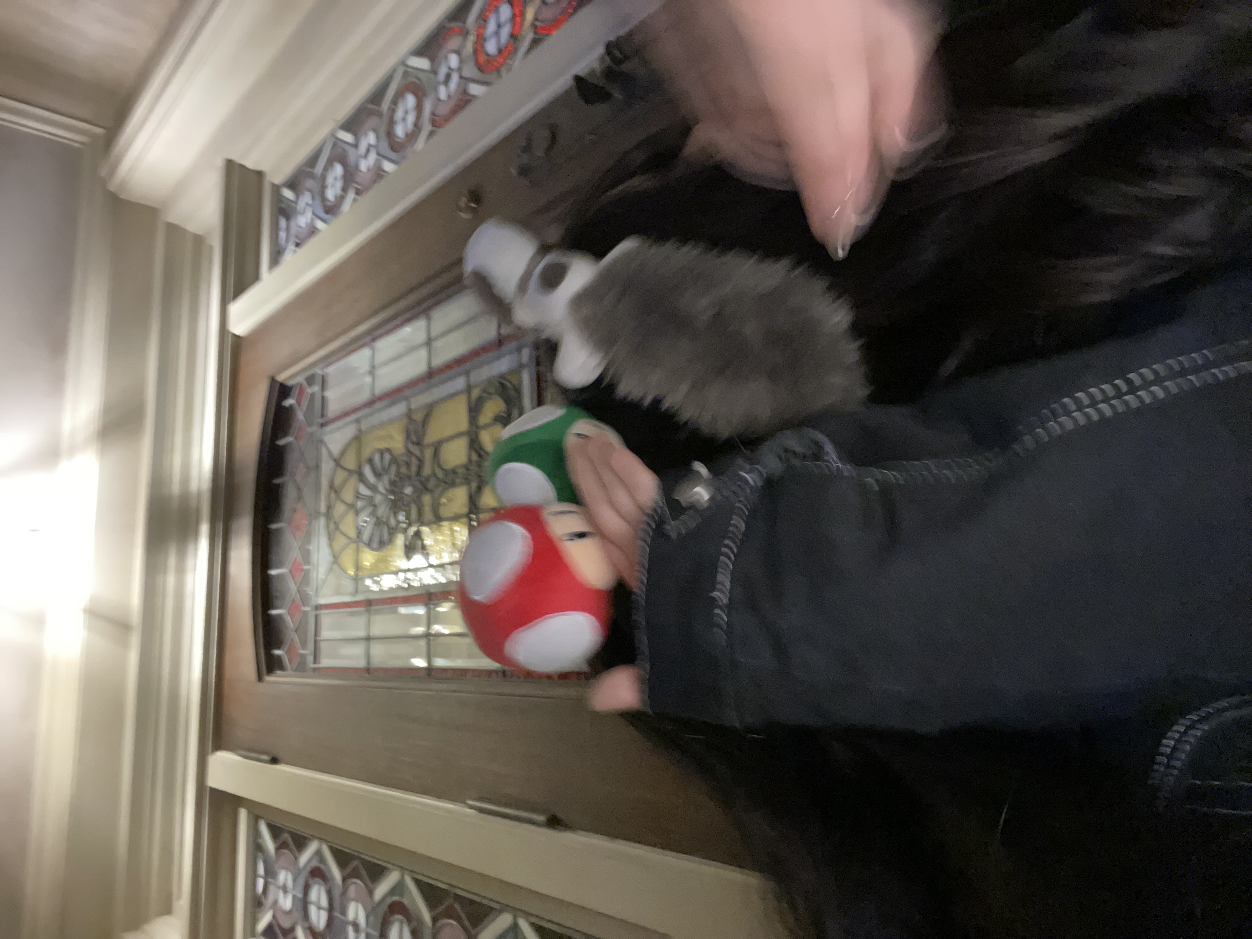 𝐤𝐨𝐧𝐨𝐤𝐚@フォロバ