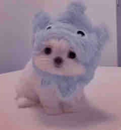 hiyori🤍∴。❅フォロバ