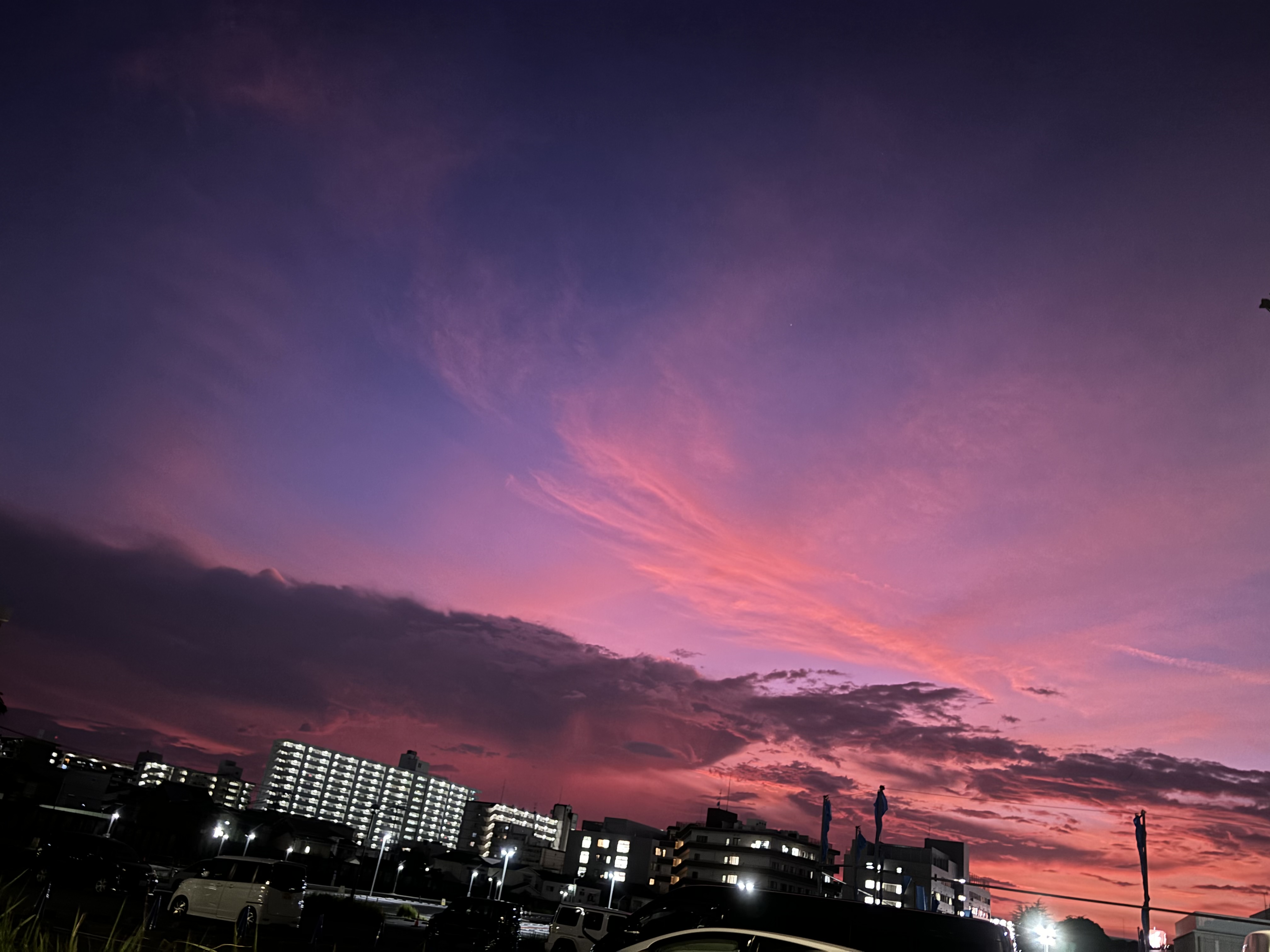 なち【フォロバ100✨️】