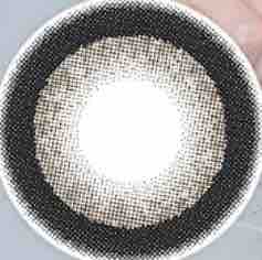 きまぐれにゃんち