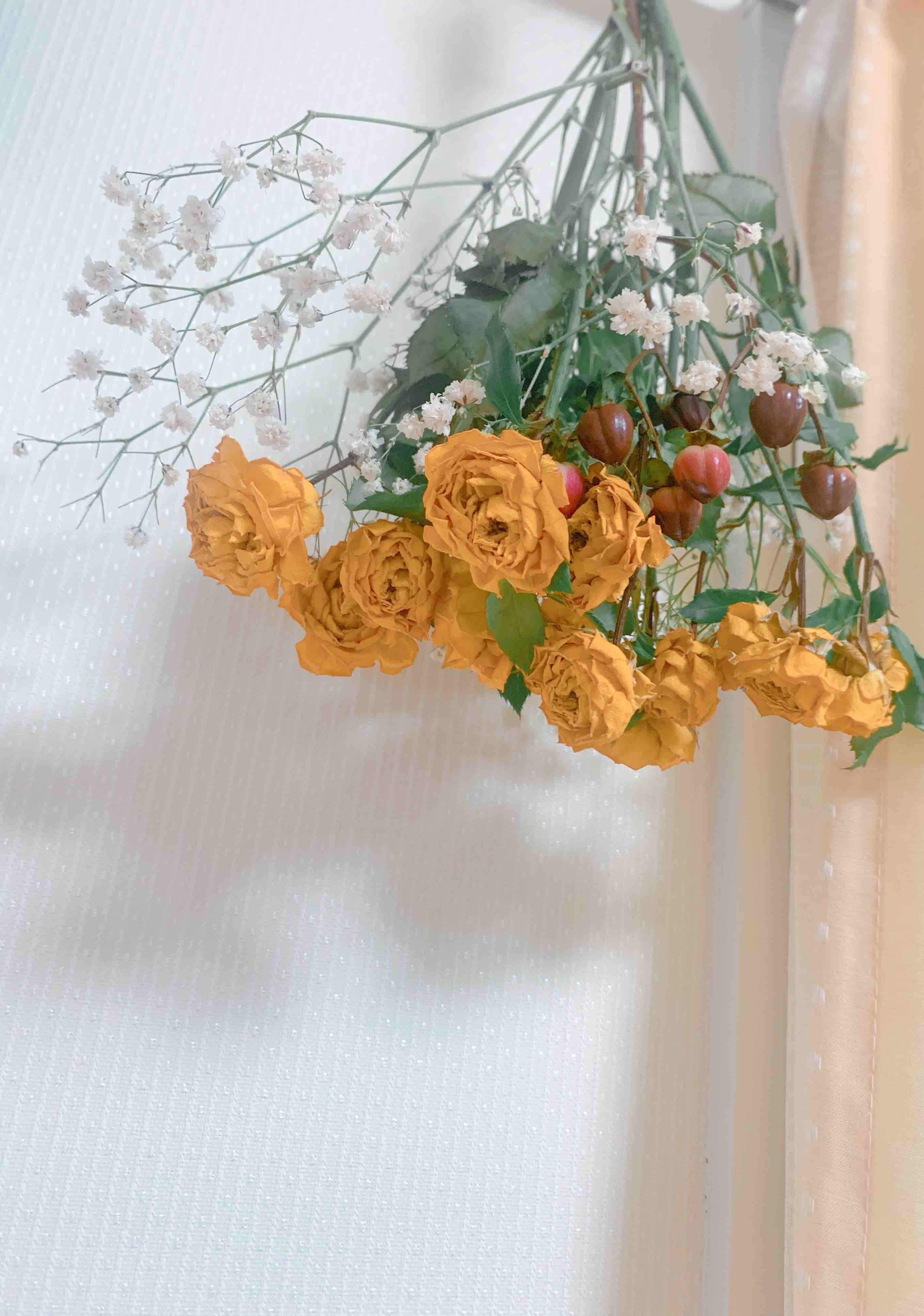 あんころもち🐈‍⬛🎀