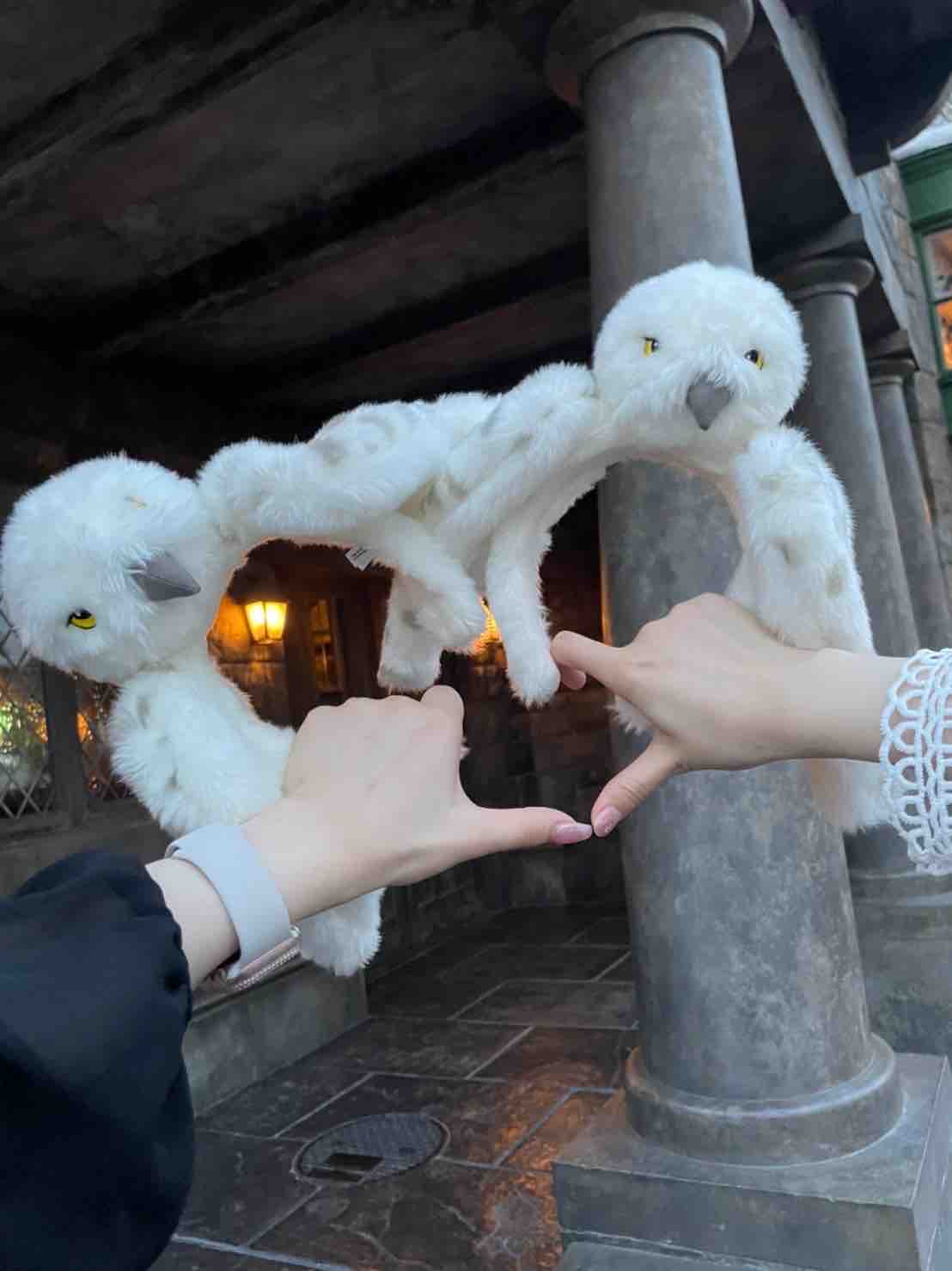 しましーま@ﾌｫﾛﾊﾞ100㌫