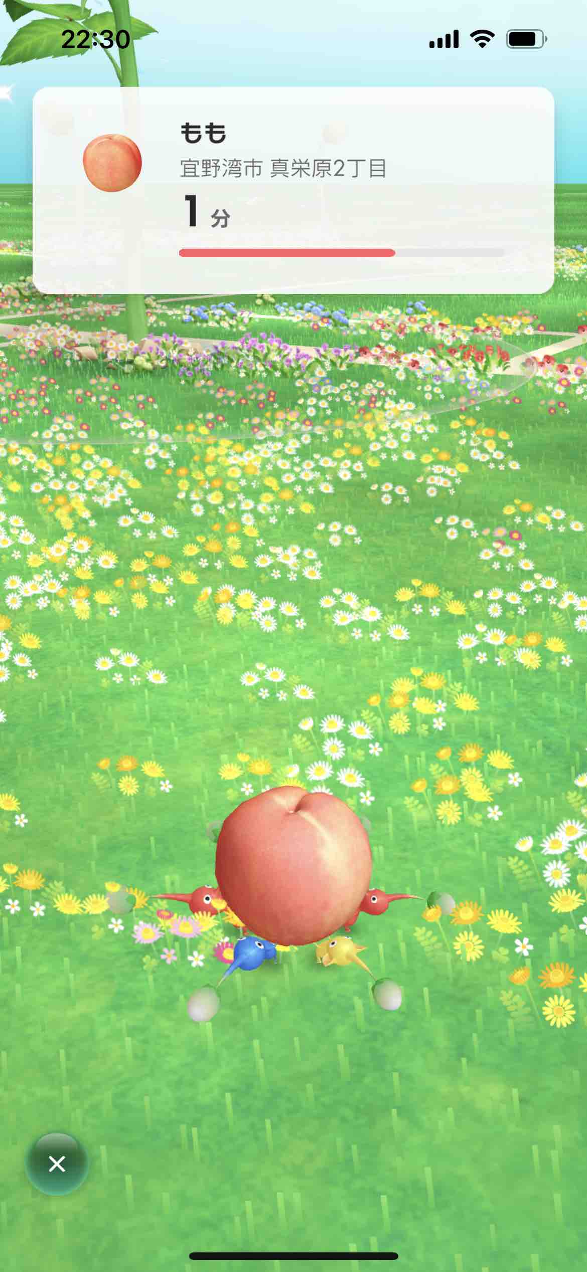 まいすいーとはにー