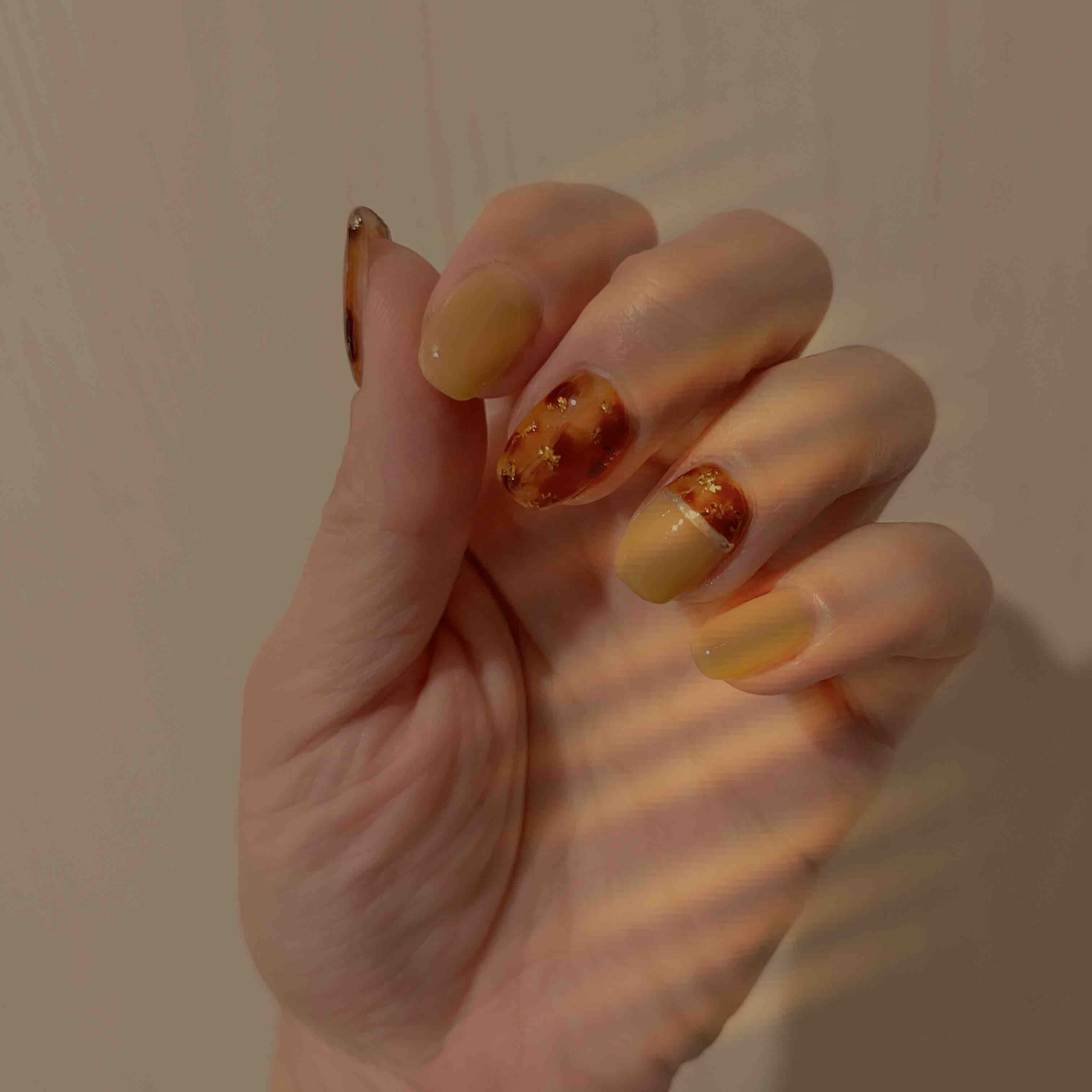 ぽぽんちゃんフォロバ◎