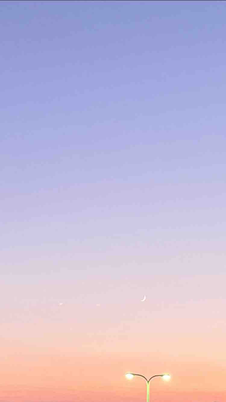 薄雲　フォロバ100