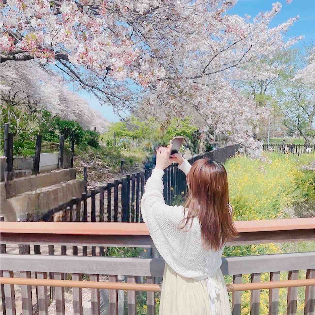 Sei🌷フォロバ100