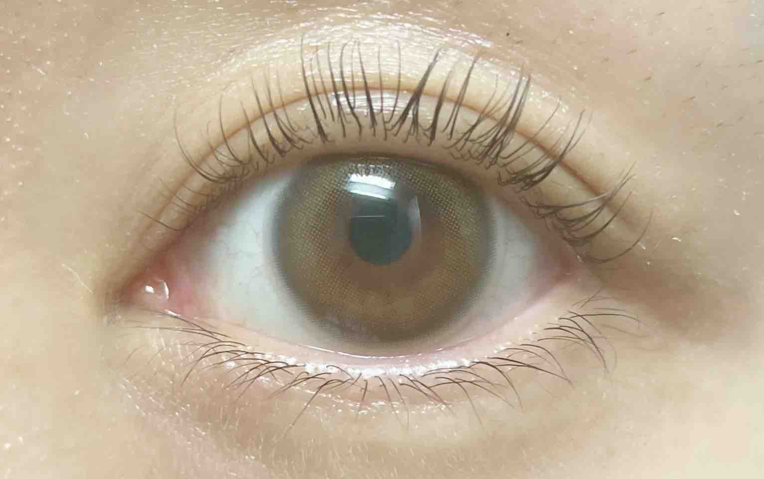 ミーゴレン🐈‍⬛