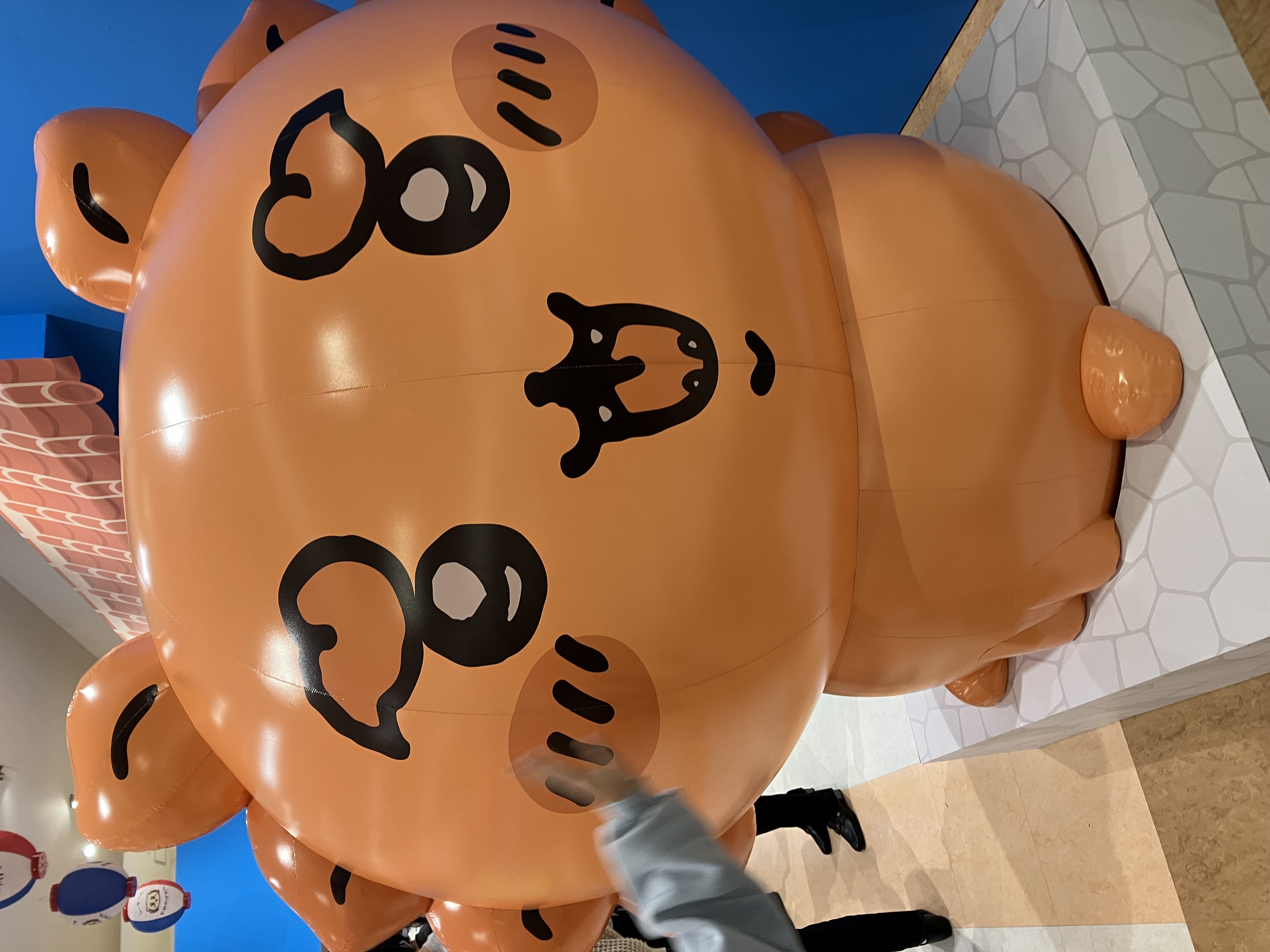 momo♡フォロバします🌈