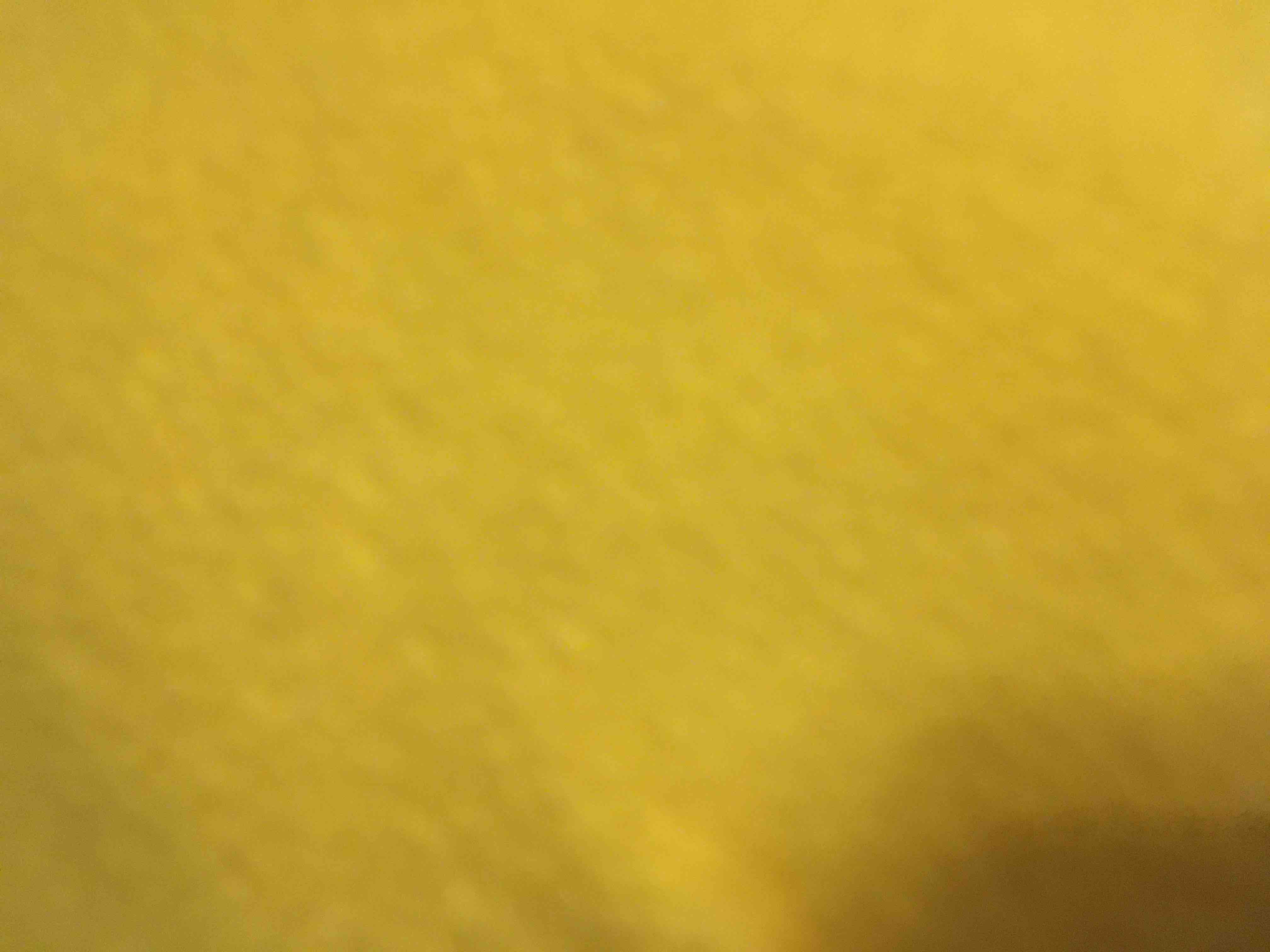 マルちゃん⭕️