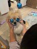 ゆっまま