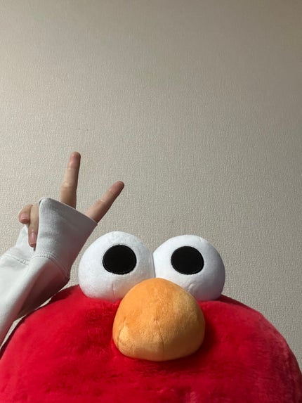 びふぃずすきん