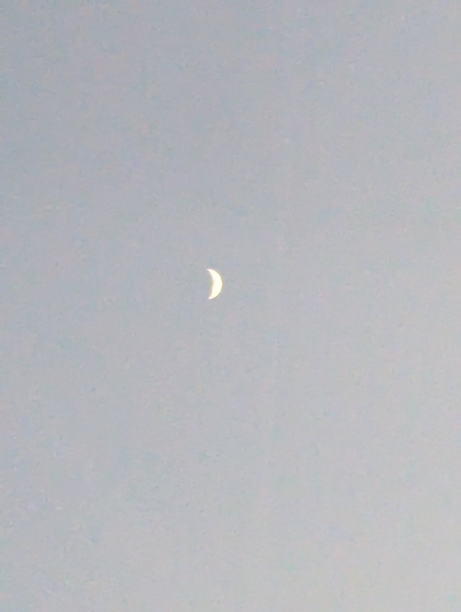 りあ  フォロバ100％