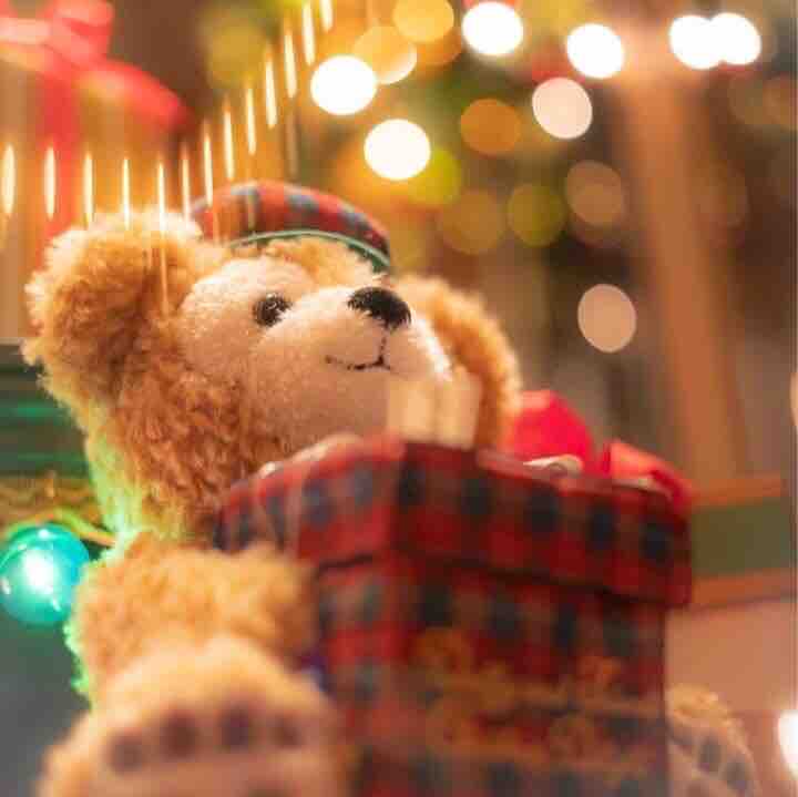 チョコミント好き🍫