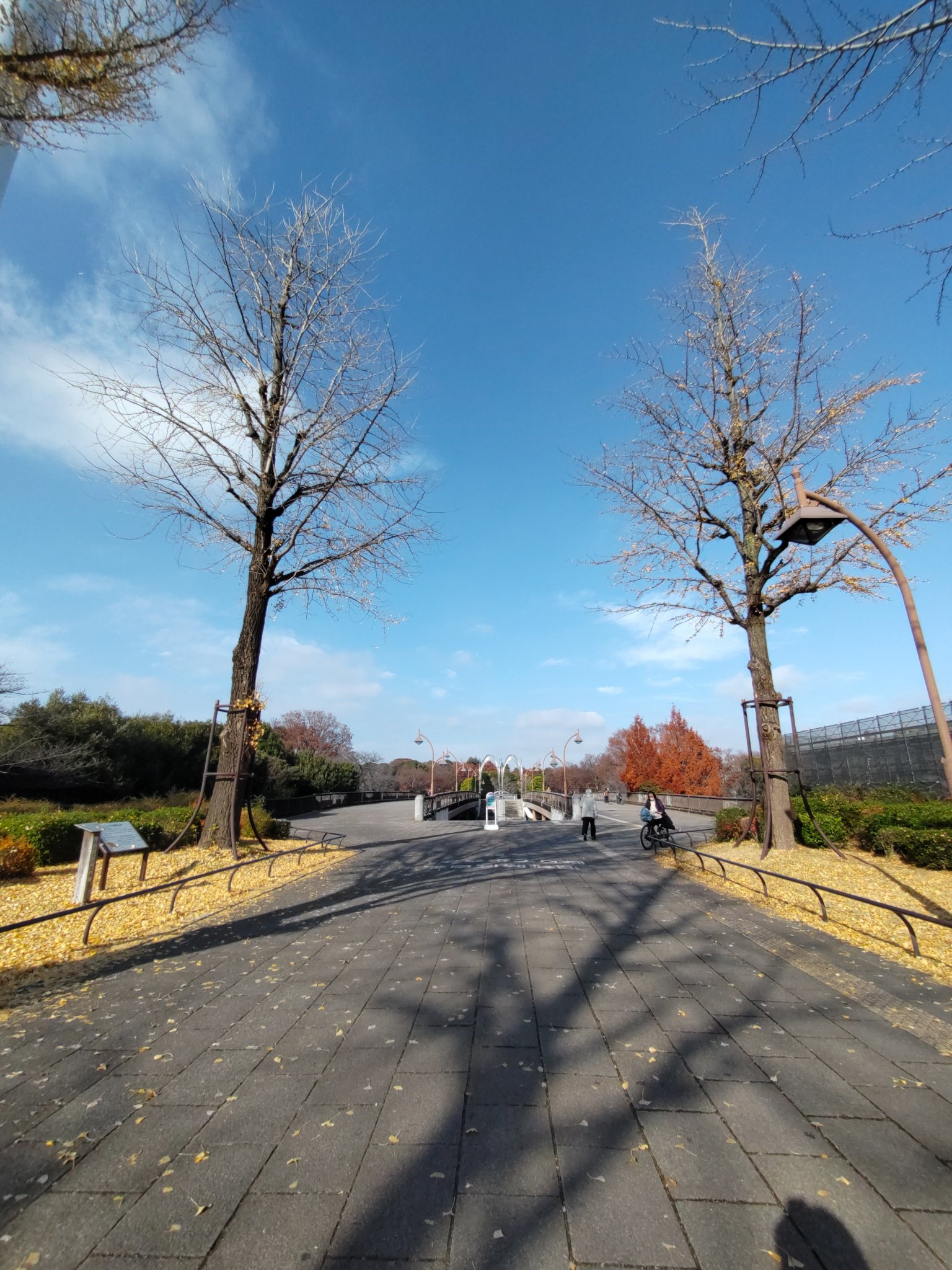 まっき／フォロバ100