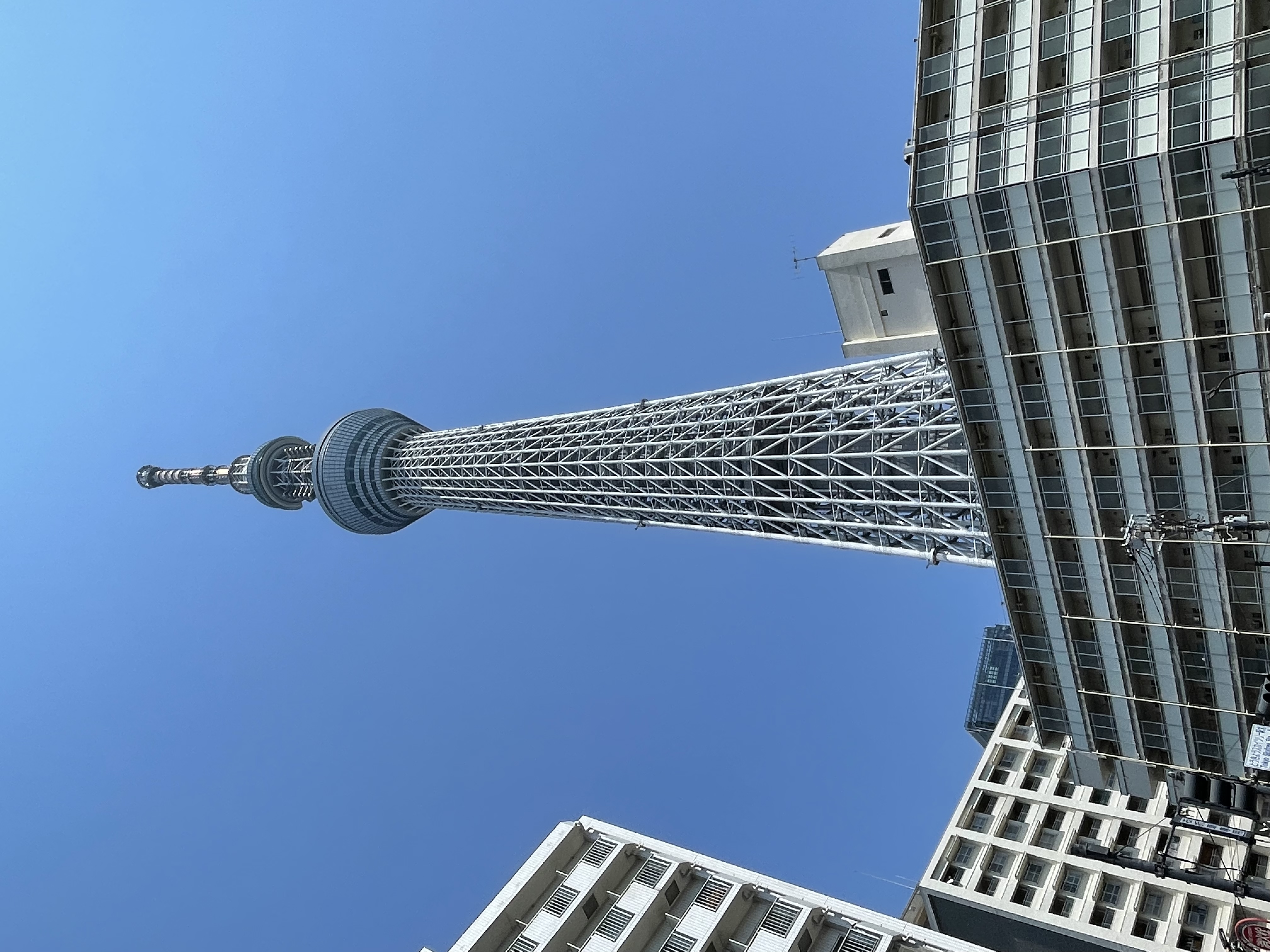 春果　　フォロバ100