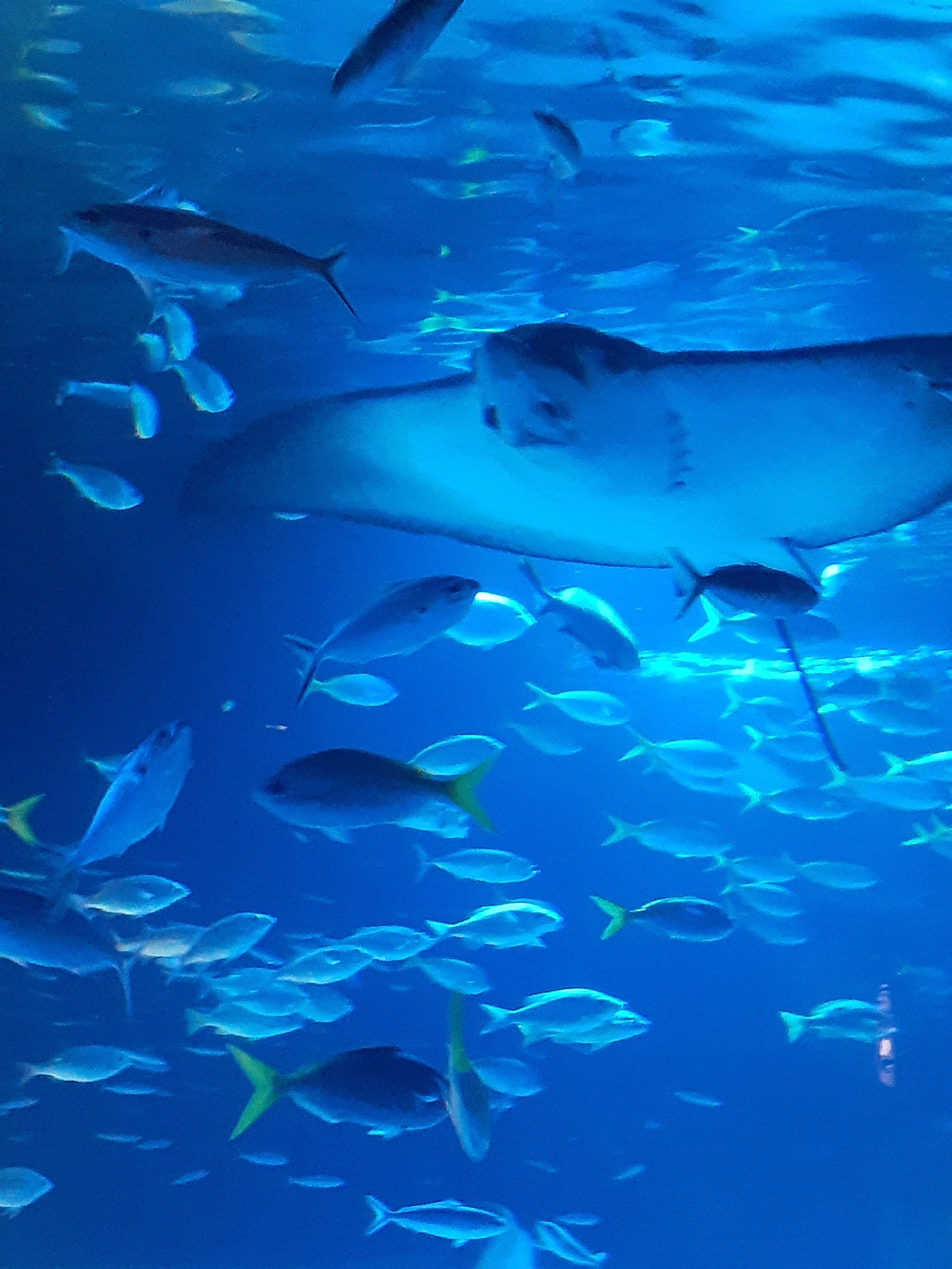 いいね・フォロー返します♡