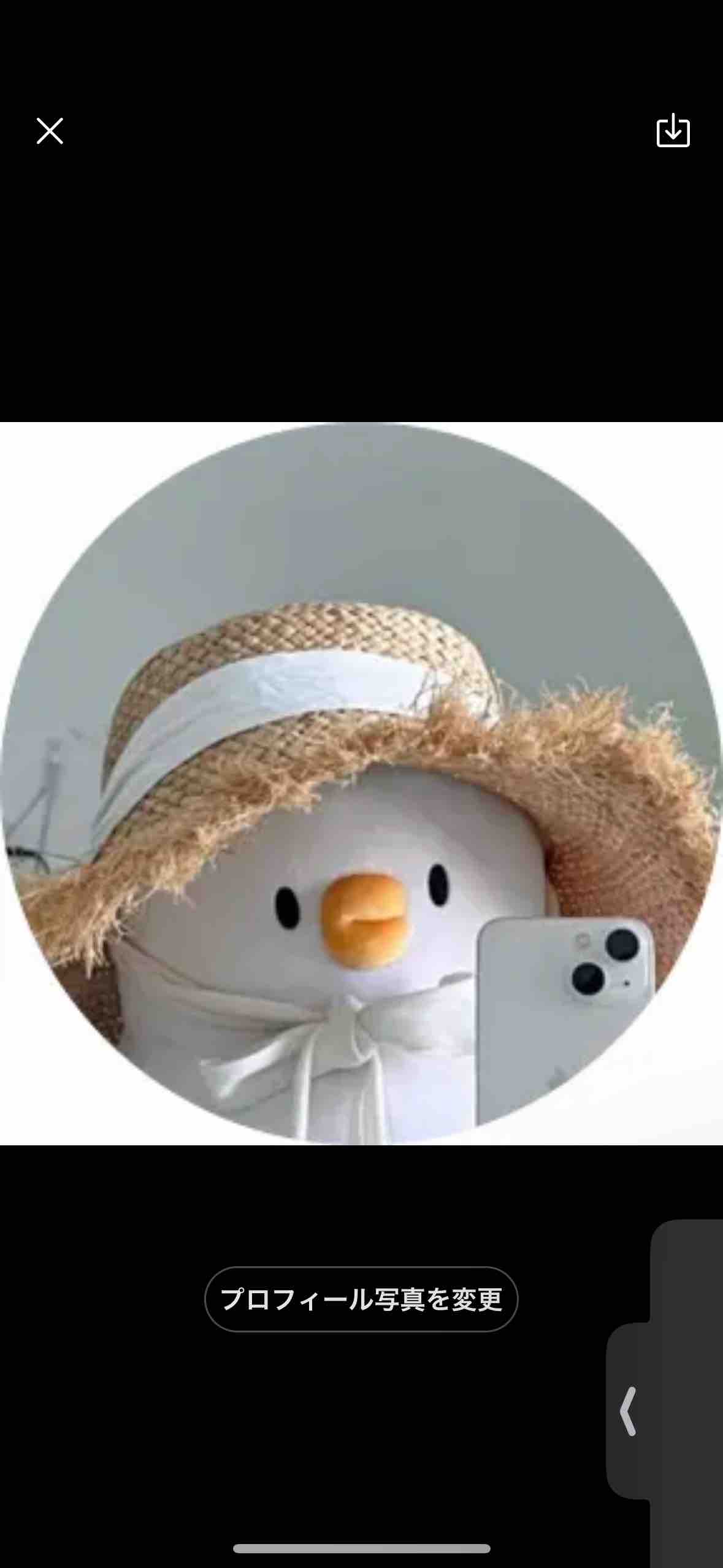 ひよこちゃん🐣