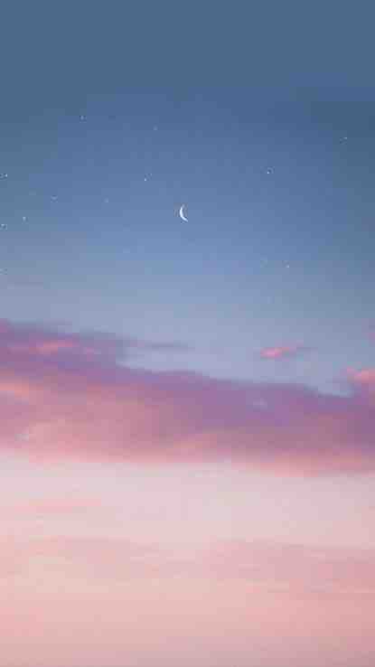 ﾀﾗｺｽﾊﾟｹﾞﾃｨ