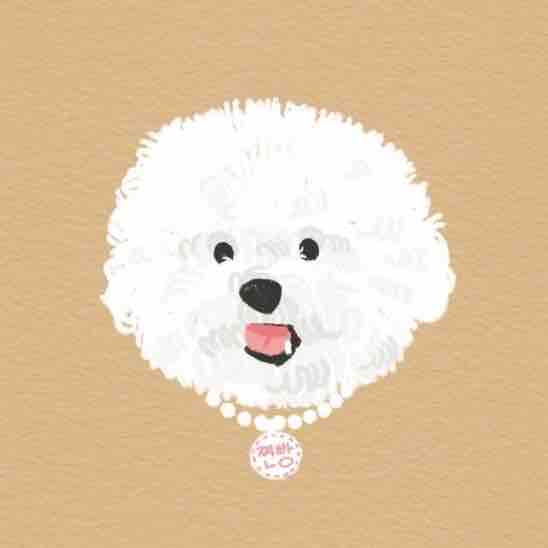 ｙｕ❁﻿フォロバ