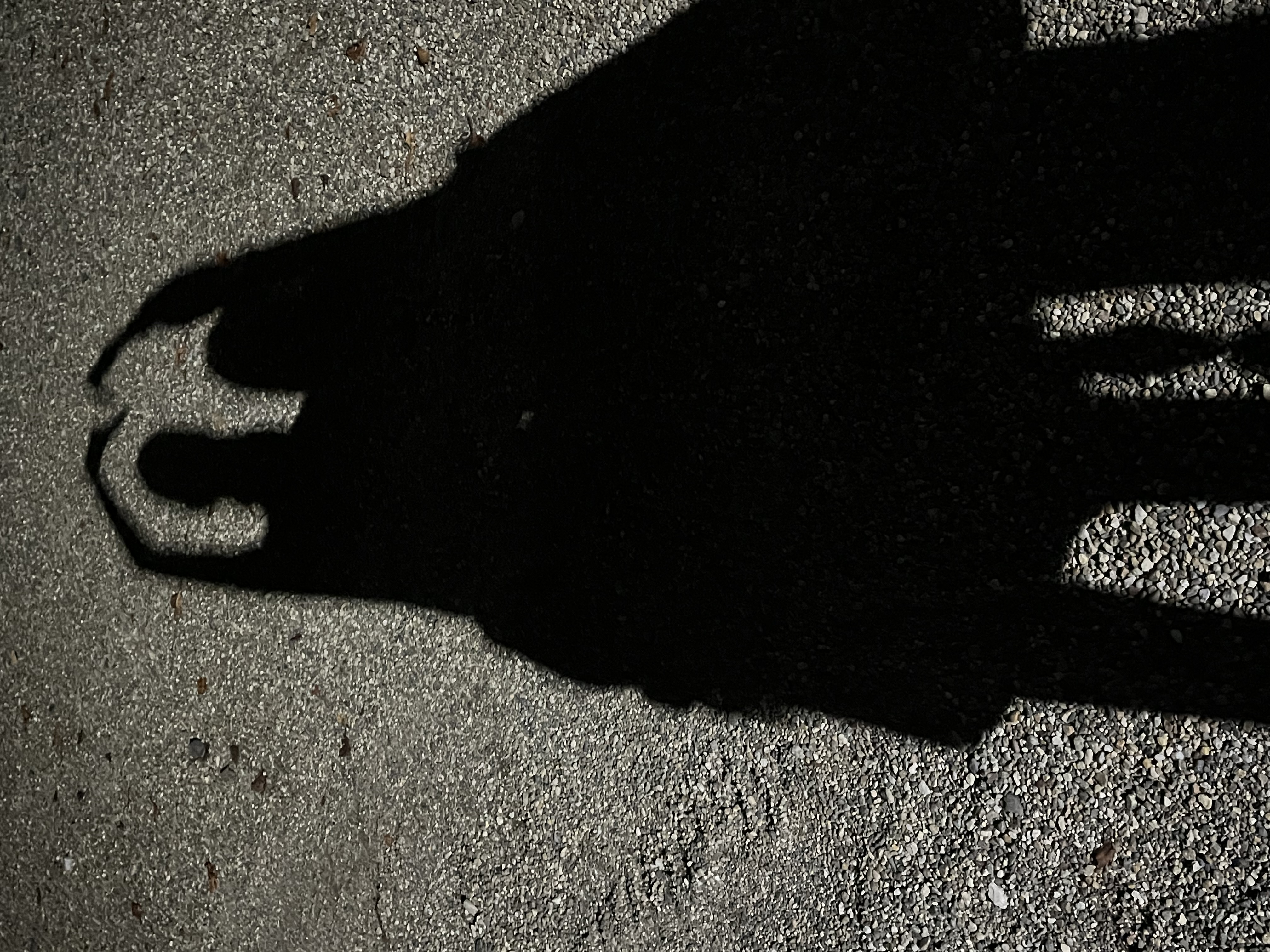 .꒰ঌ 𝚖 𝚒 𝚊 ໒꒱.·🐰🤍