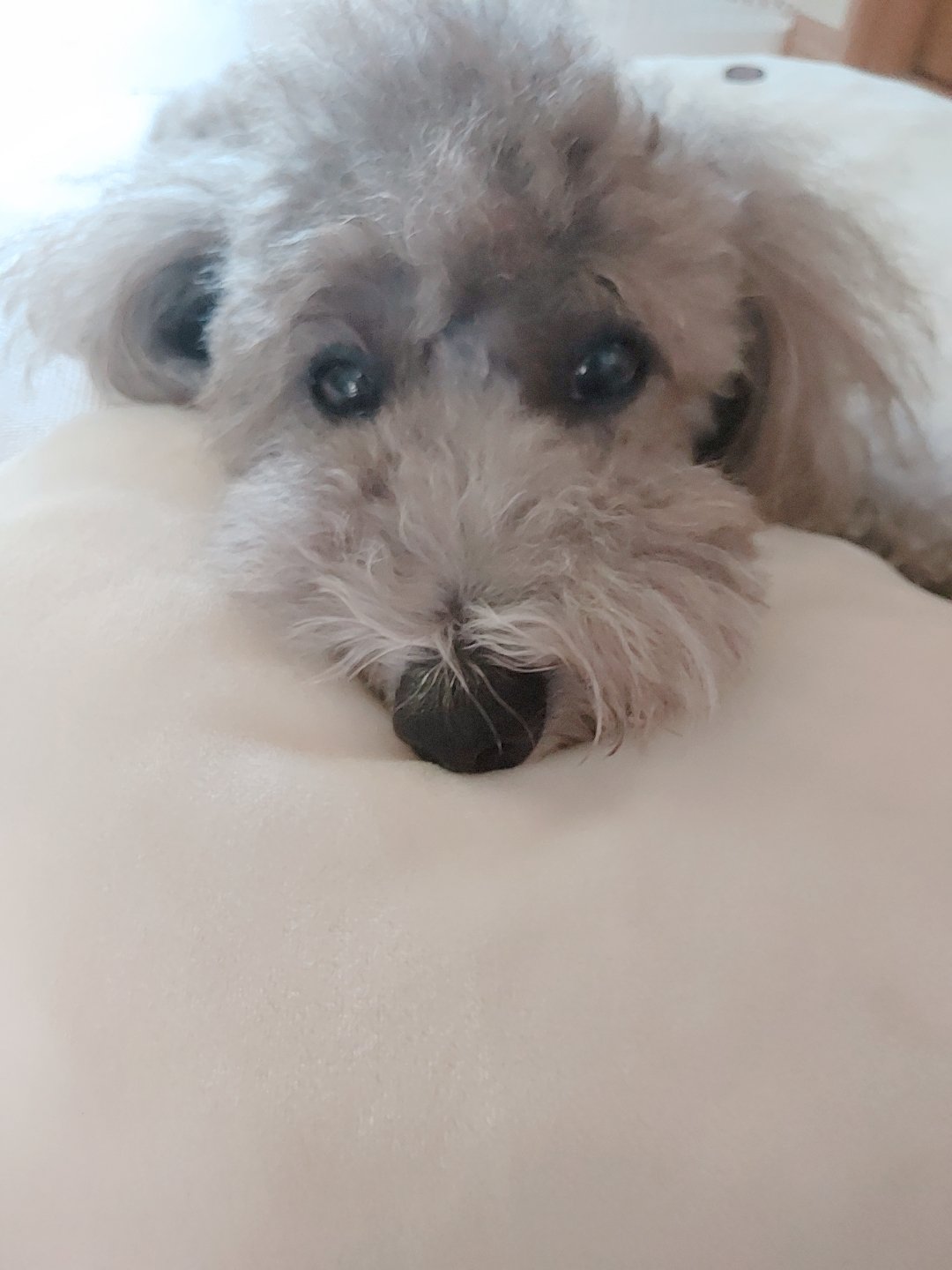 💎‎🤍Yuri🪽‎🧊🫧‪