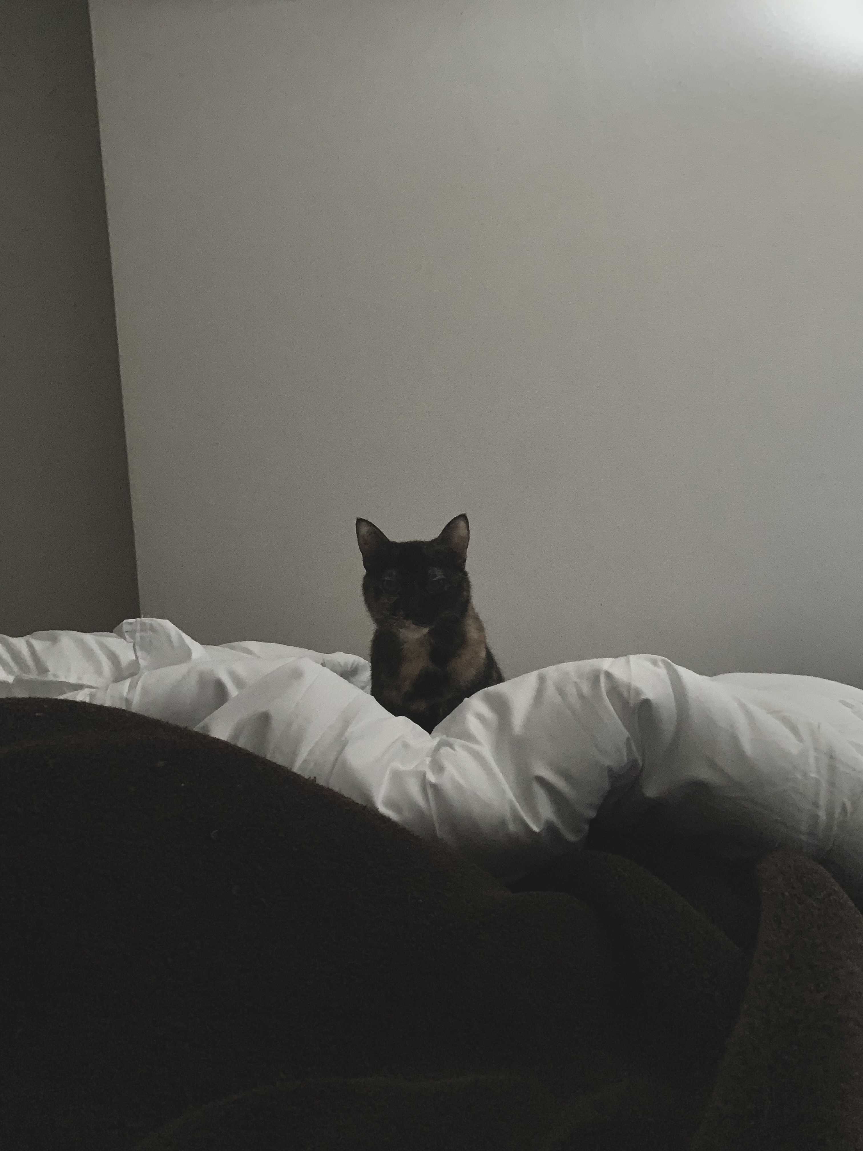 Mai/ 元美容部員