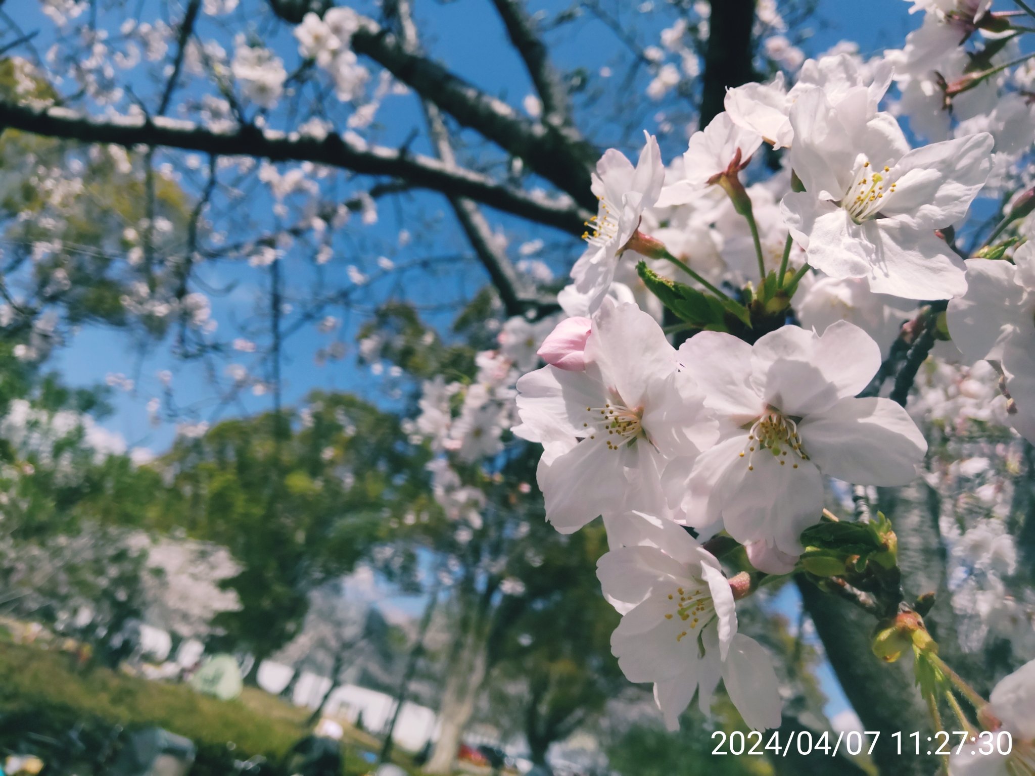 食塩水/フォロバ100