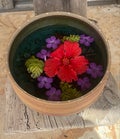 琉球ブルー