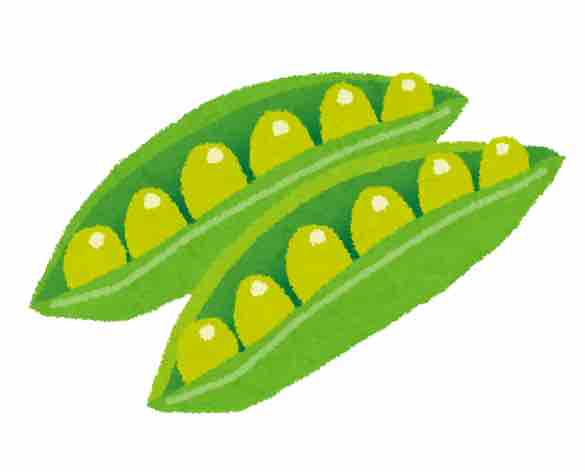 擬人化ずんだ餅🫛