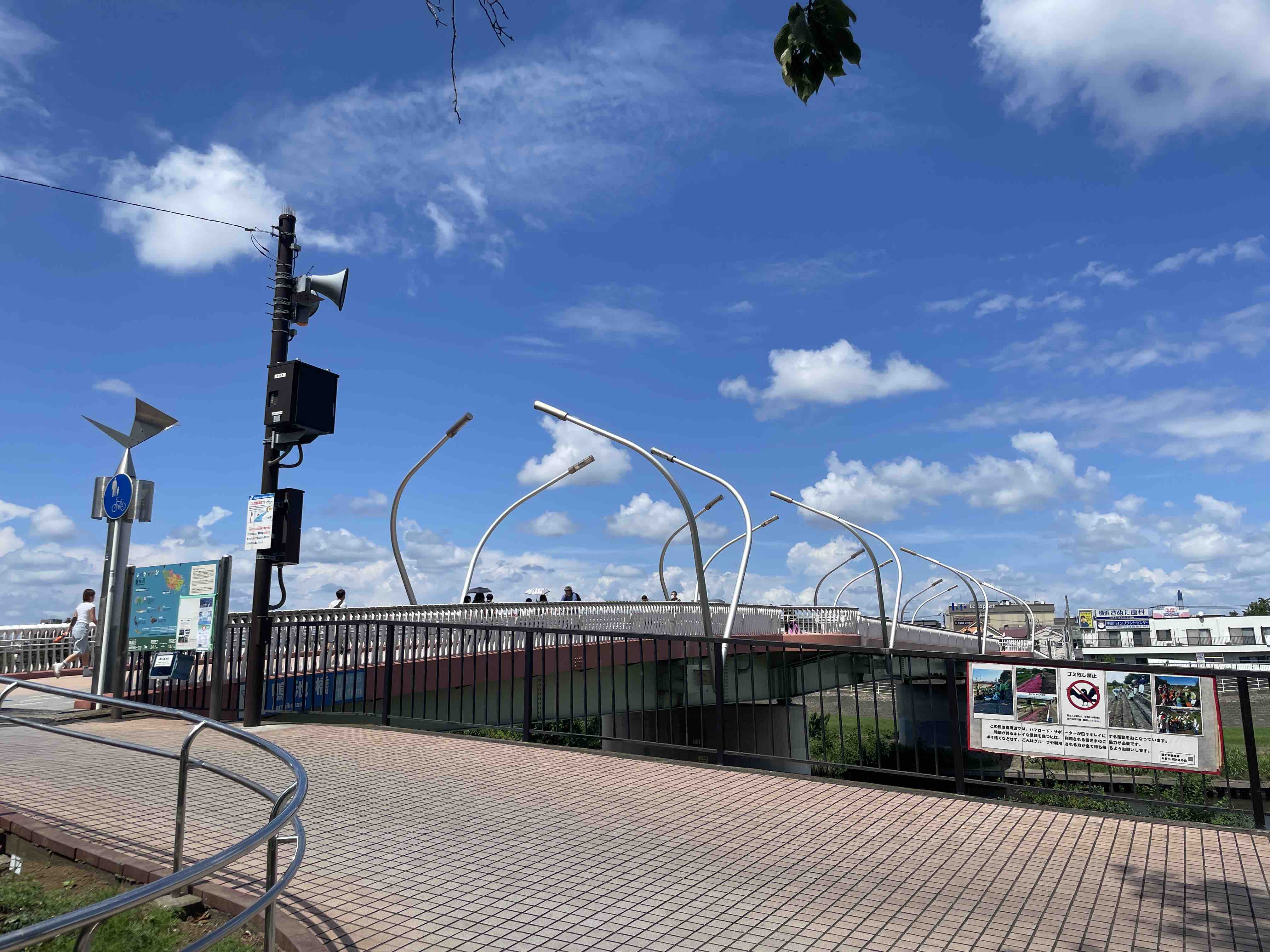 ねずみーしーがすき