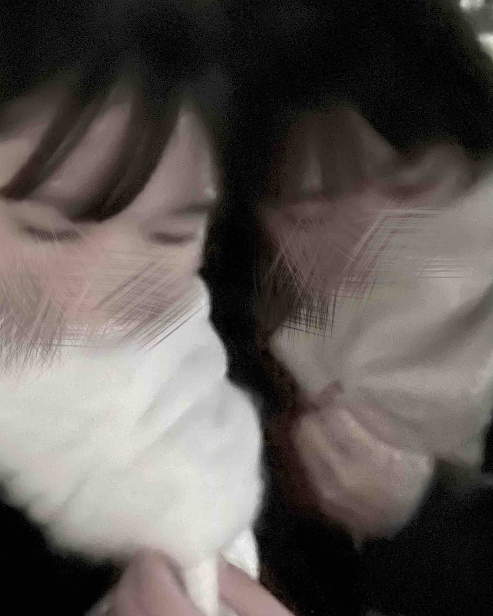 おにゃんこぽん