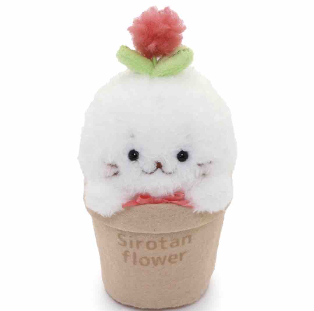 jaeeun🫧 イエベ🔸