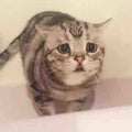るり