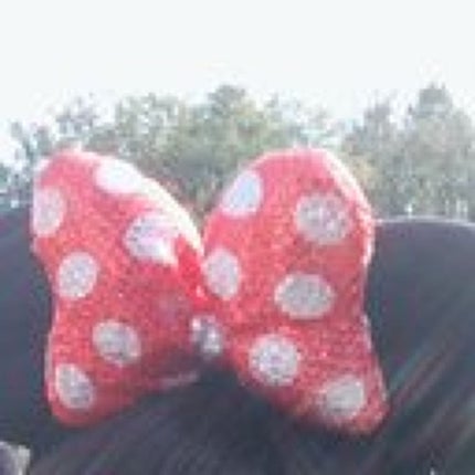 みーずき🐰💗