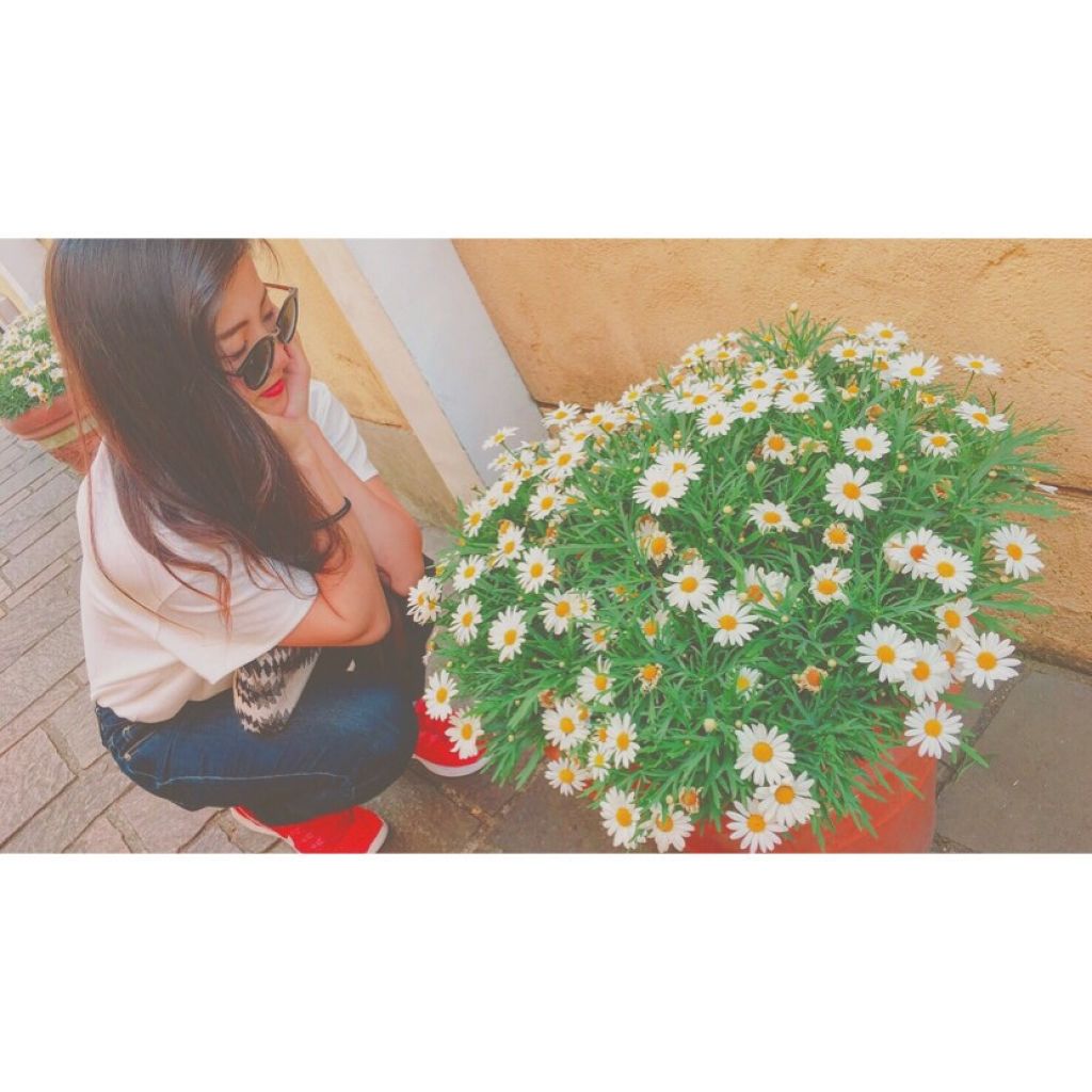 ﾂｶﾀﾞｾﾘﾅ