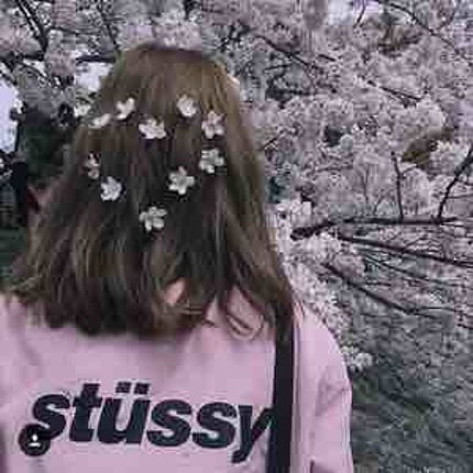 sakura