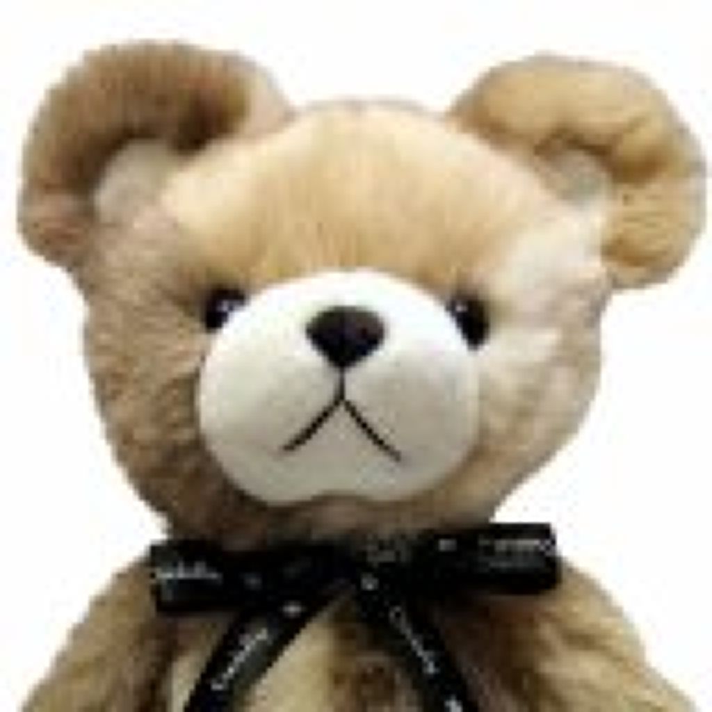 アイコ・フレデリカ３%の人類