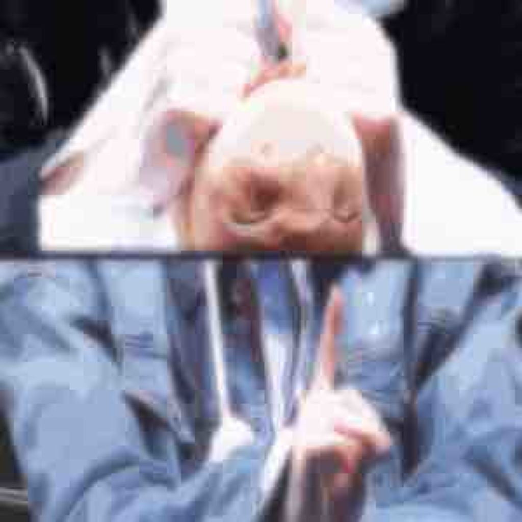 🇺🇸 🇹🇭 🇰🇷 🇭🇰