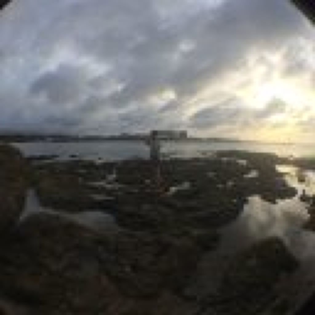 🃏 サランもえこ 👴🏻🎍