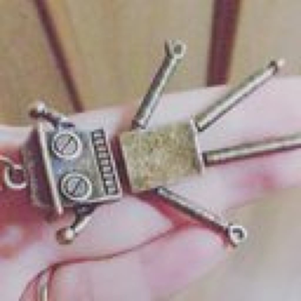 |д･)ぁ…あひるん