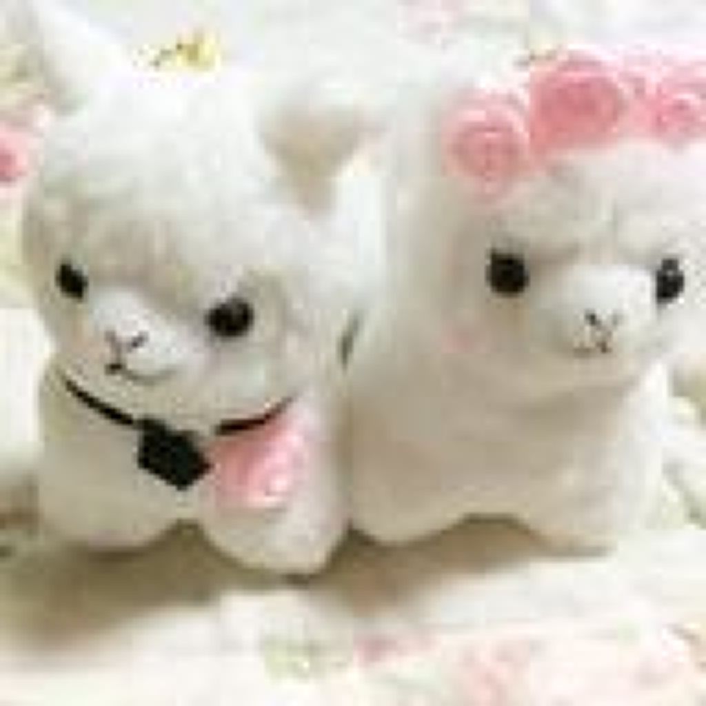 ゆかりん* ੈ✩‧₊˚