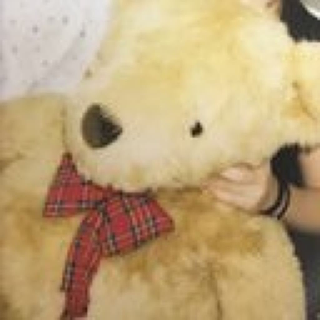 ( ･ᴗ･ )ᶠᶸᶜᵏᵧₒᵤ