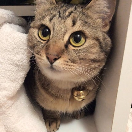 maru.365